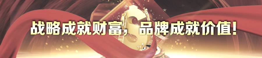 戰略成就財富，品牌成就價值！-2